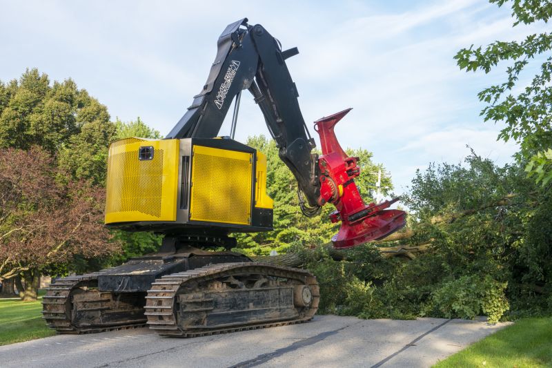 Spring Tree Removal Equipment